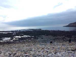 Dublin Bay